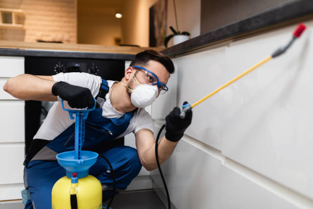 Best Mosquito Control Services  in Franklin, MI