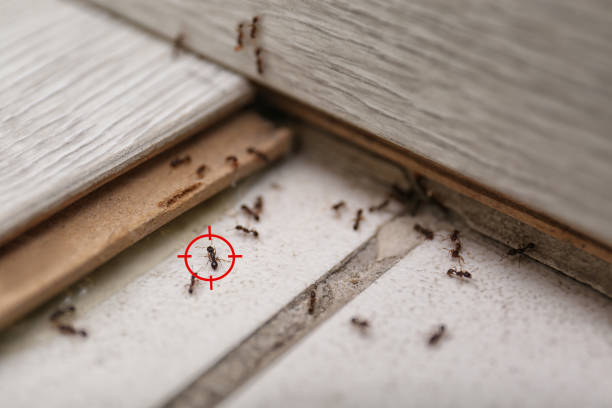 Best Cockroach Control Services  in Franklin, MI