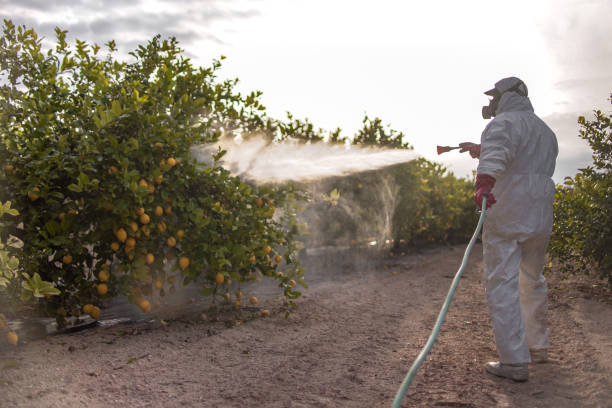 Best Affordable Pest Control Services  in Franklin, MI