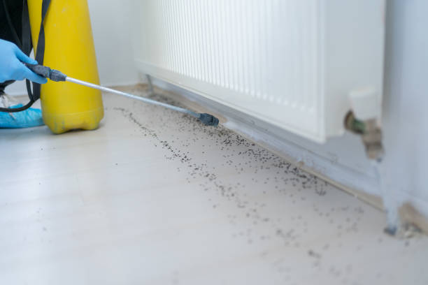 Pest Control for Restaurants in Franklin, MI