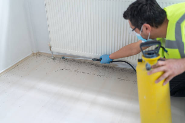 Best Pest Inspection Near Me  in Franklin, MI